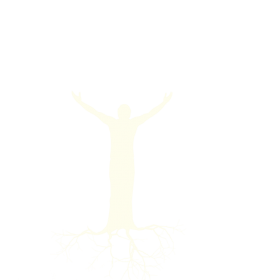 Vegan - Lactose vrij